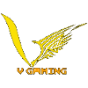 V Gaming